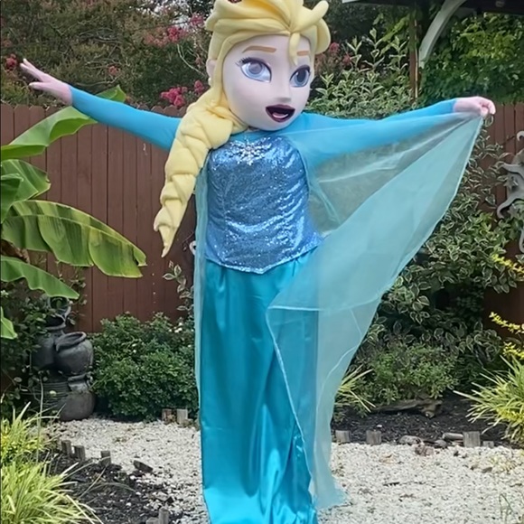 Adult costume Disney princess frozen, we can make any princess. - Picture 7 of 10